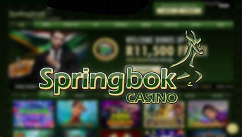 springbok bonus codes